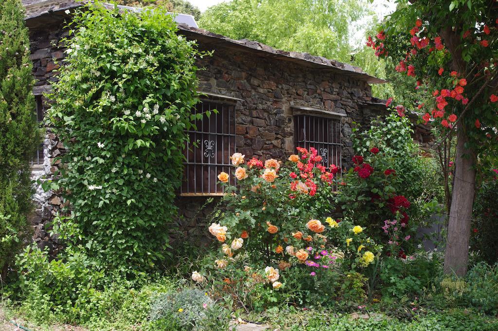 Ferienwohnung Cortijo Prado Toro Pitres Exterior foto
